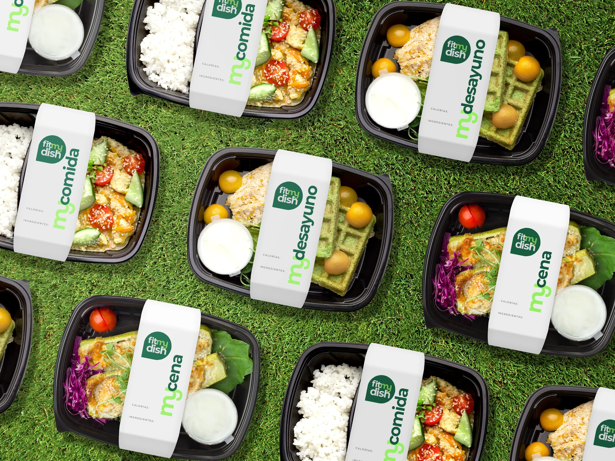 fitmydish platos copia