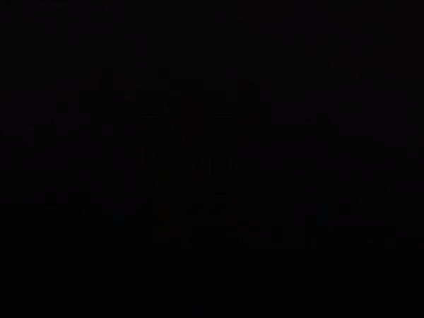 maestro joyeros monograma